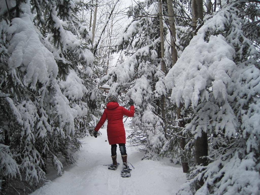Domaine De La Baie, Les Suites Shawinigan Bagian luar foto